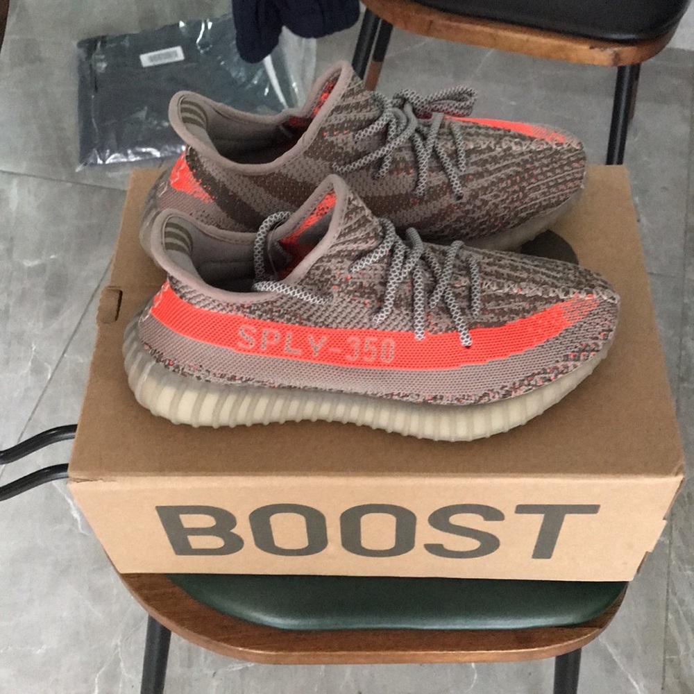 Yeezy Boost 350 V2 - Picture 5 of 6